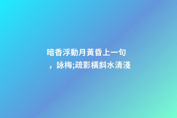 暗香浮動月黃昏上一句，詠梅;疏影橫斜水清淺